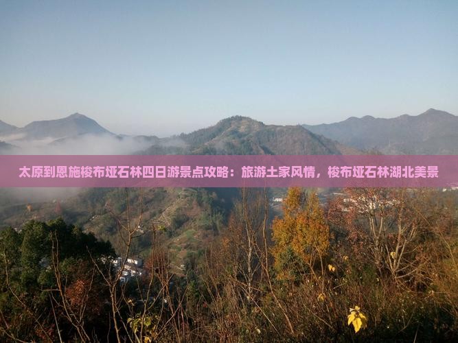 太原到恩施梭布垭石林四日游