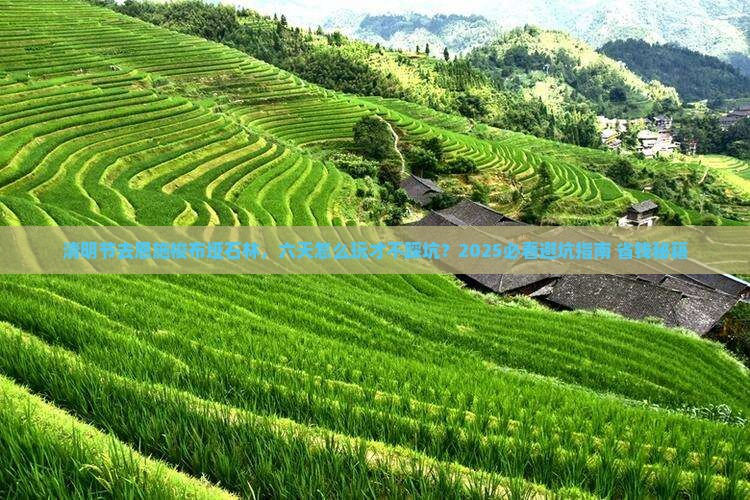 清明节去恩施梭布垭石林六日游