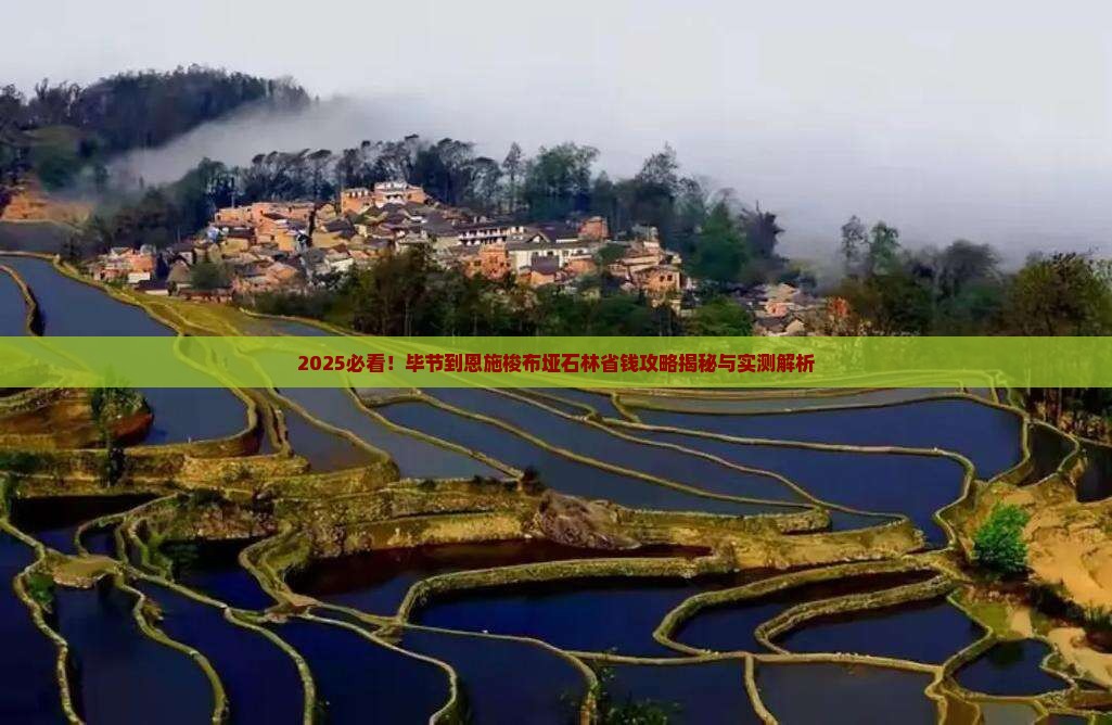 毕节到恩施梭布垭石林攻略
