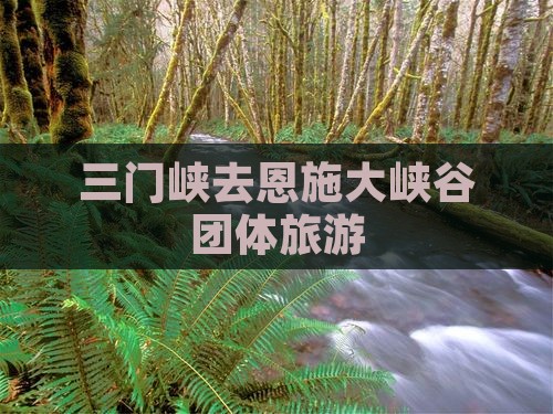 三门峡去恩施大峡谷团体旅游