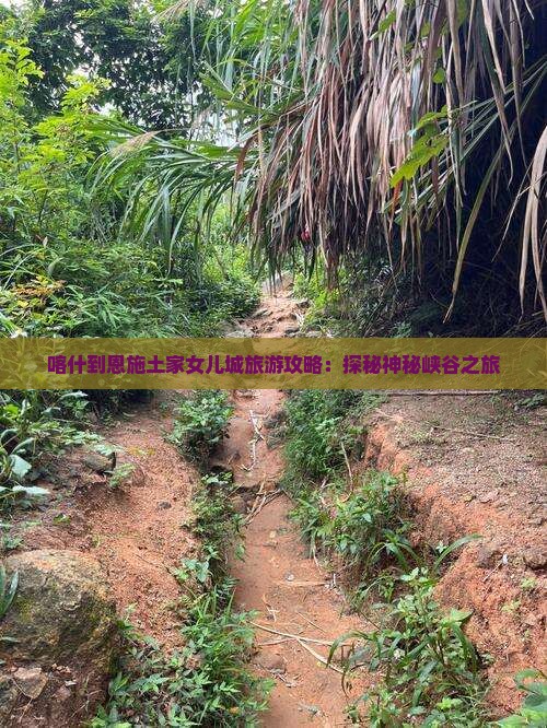 喀什去恩施土家女儿城旅行社