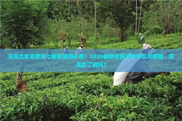 玉溪去恩施七星寨旅游