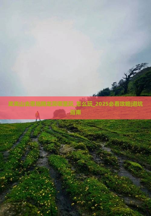 武夷山去恩施腾龙洞哪里玩