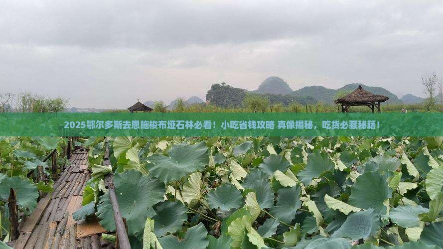 鄂尔多斯去恩施梭布垭石林旅游小吃