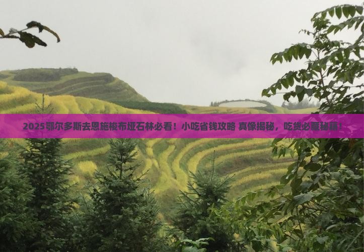 鄂尔多斯去恩施梭布垭石林旅游小吃