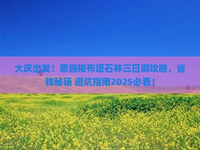 大庆到恩施梭布垭石林三日游