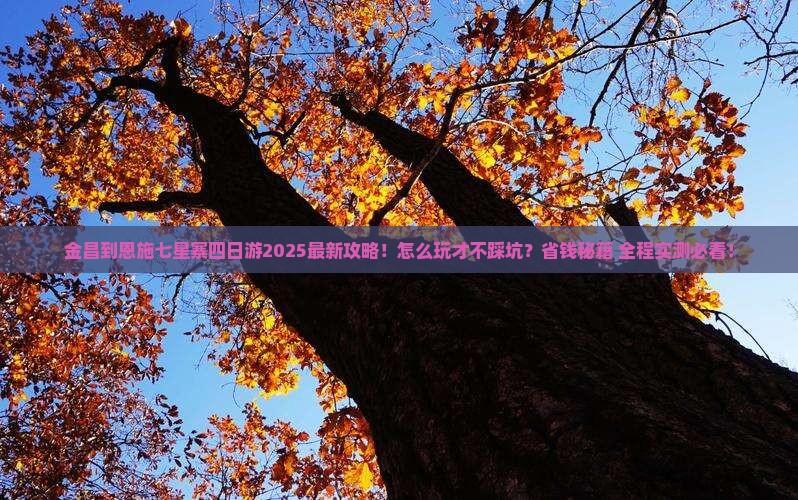 金昌到恩施七星寨四日游