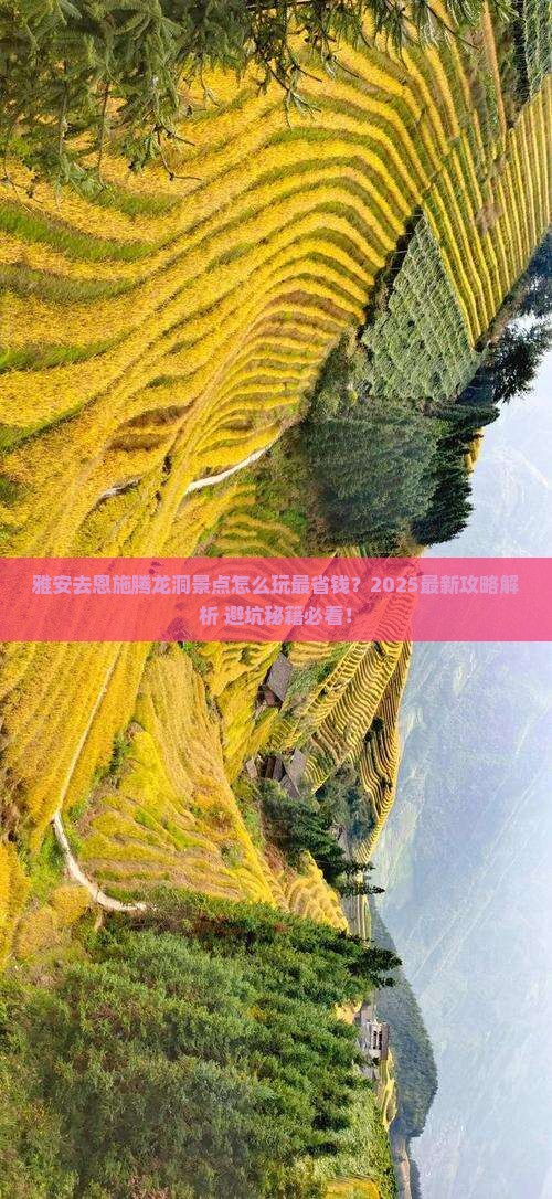 雅安去恩施腾龙洞景点