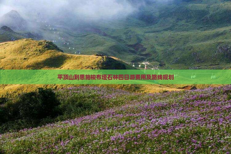 平顶山到恩施梭布垭石林四日游