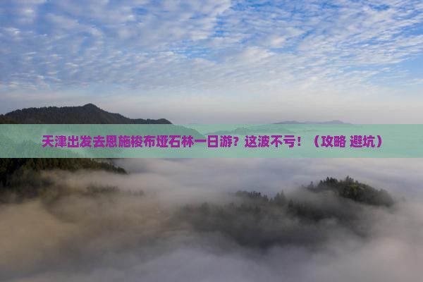 天津到恩施梭布垭石林一日