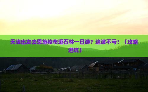 天津到恩施梭布垭石林一日