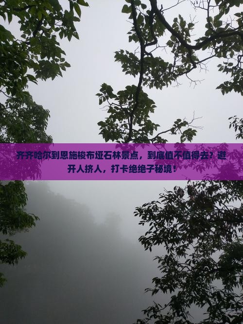 齐齐哈尔到恩施梭布垭石林景点