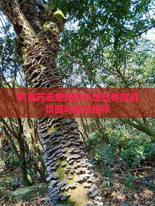 阿克苏去恩施梭布垭石林旅游