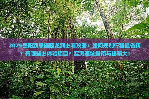 岳阳到恩施腾龙洞攻略