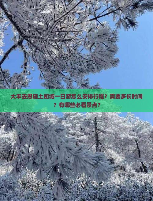 大丰去恩施土司城一日游怎么安排行程？需要多长时间？有哪些必看景点？