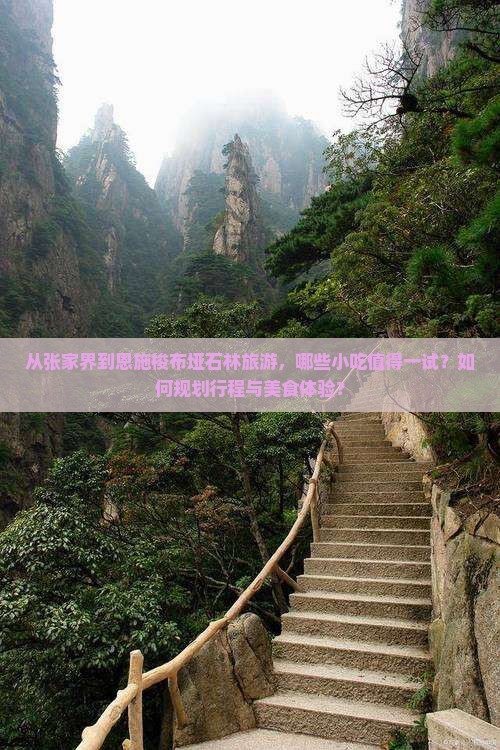 从张家界到恩施梭布垭石林旅游，哪些小吃值得一试？如何规划行程与美食体验？