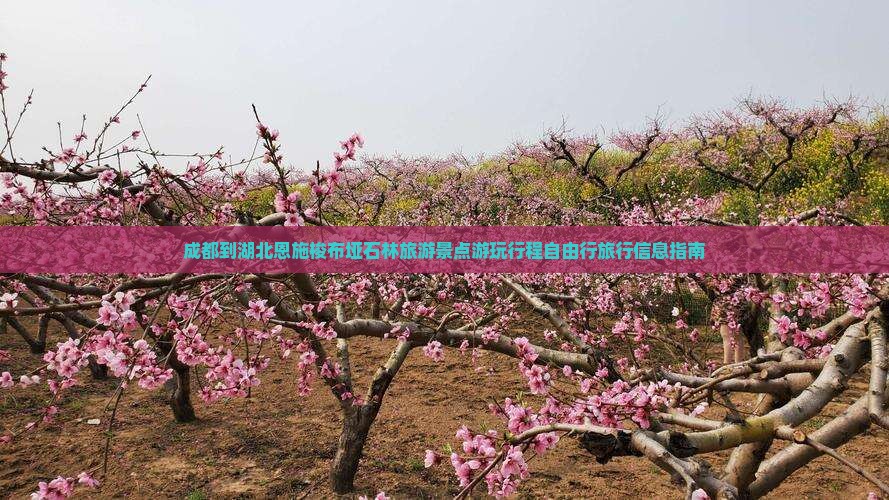 成都到湖北恩施梭布垭石林旅游景点游玩行程自由行旅行信息指南