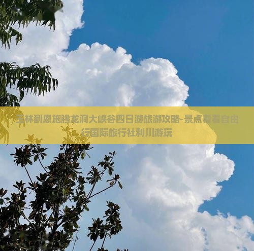 玉林到恩施腾龙洞大峡谷四日游旅游攻略-景点看看自由行国际旅行社利川游玩