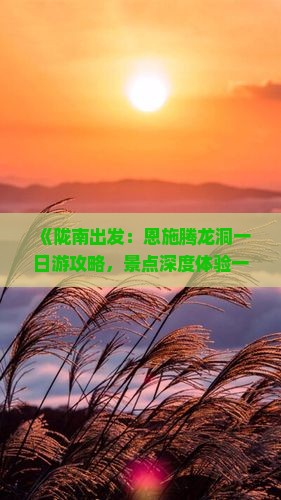 《陇南出发：恩施腾龙洞一日游攻略，景点深度体验一日游》