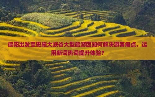 德阳出发至恩施大峡谷大型旅游团如何解决游客痛点，运用新词热词提升体验？