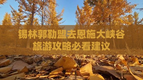 锡林郭勒盟去恩施大峡谷旅游攻略必看建议