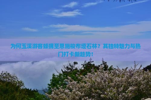 为何玉溪游客蜂拥至恩施梭布垭石林？其独特魅力与热门打卡新趋势！