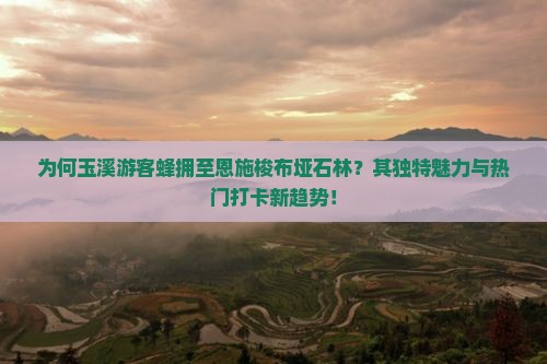 为何玉溪游客蜂拥至恩施梭布垭石林？其独特魅力与热门打卡新趋势！