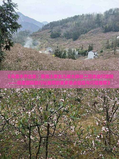 《乌鲁木齐出发：恩施土家女儿城大峡谷二日自由行攻略——探索国际旅行社推荐的更多景点信息与行程推荐》