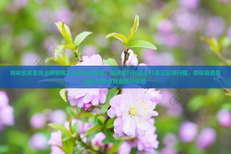 铁岭出发恩施大峡谷腾龙洞自由行攻略：国际旅行社精心打造三日游行程，带你看看恩施精华景点自由旅行体验