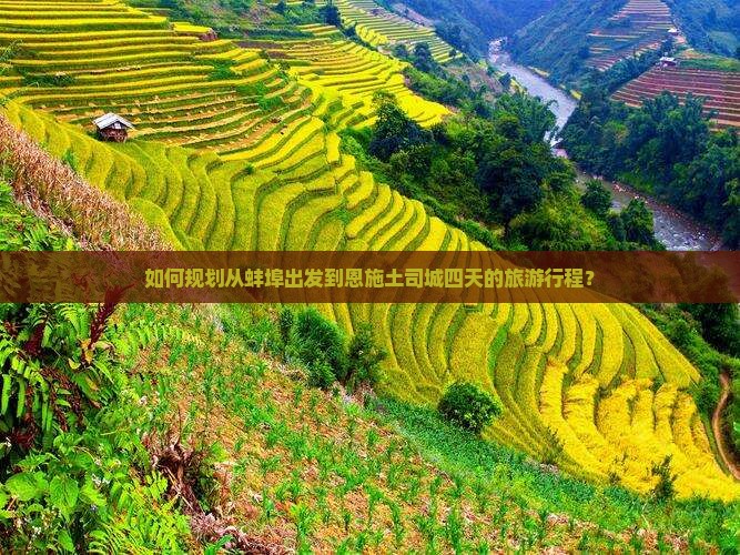 如何规划从蚌埠出发到恩施土司城四天的旅游行程？