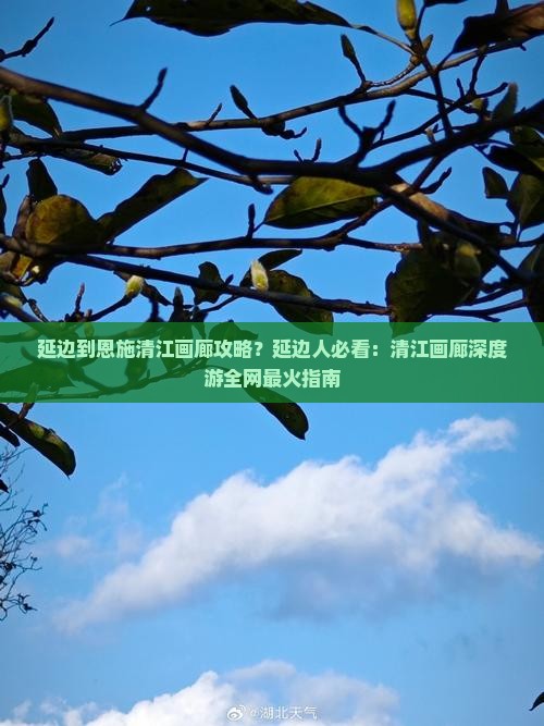 延边到恩施清江画廊攻略？延边人必看：清江画廊深度游全网最火指南