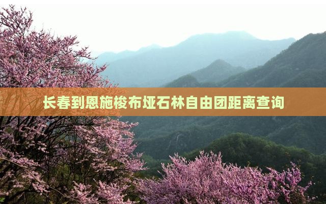 长春到恩施梭布垭石林自由团距离查询
