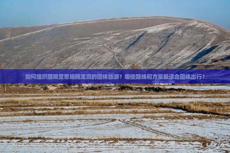 如何组织醴陵至恩施腾龙洞的团体旅游？哪些路线和方案最适合团体出行？