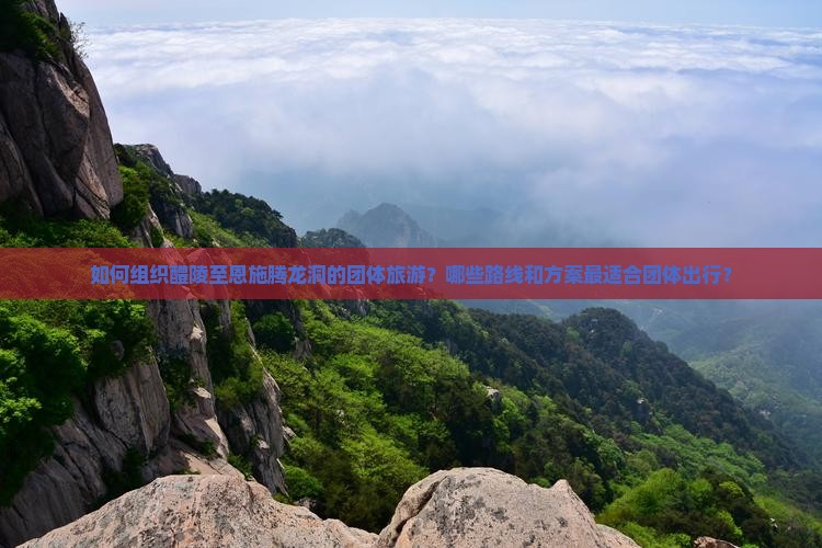 如何组织醴陵至恩施腾龙洞的团体旅游？哪些路线和方案最适合团体出行？