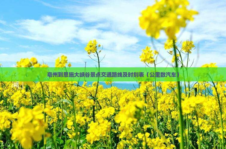 亳州到恩施大峡谷景点交通路线及时刻表（公里数汽车）