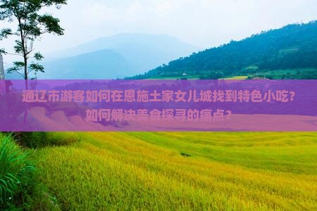 通辽市游客如何在恩施土家女儿城找到特色小吃？如何解决美食探寻的痛点？