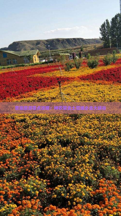 恩施旅游景点攻略：神农架去土司城必去大峡谷
