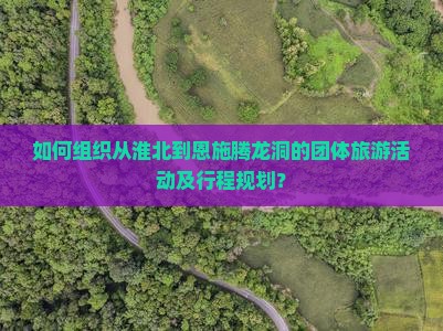 如何组织从淮北到恩施腾龙洞的团体旅游活动及行程规划？