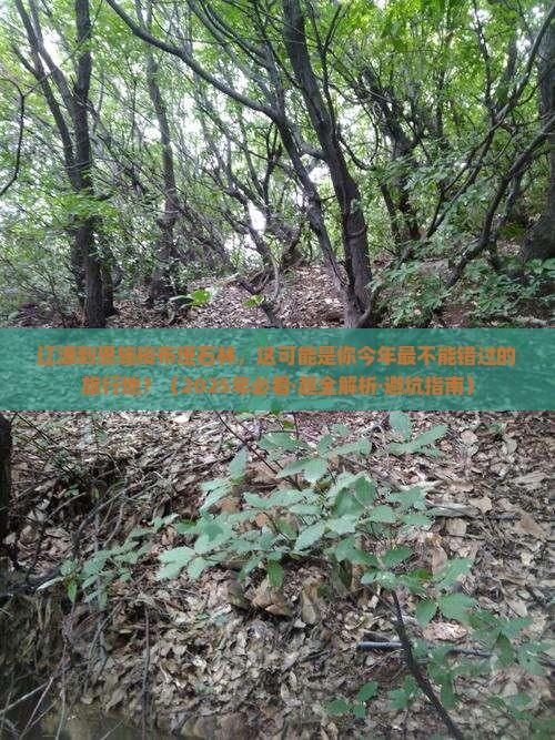 辽源去恩施梭布垭石林必去地