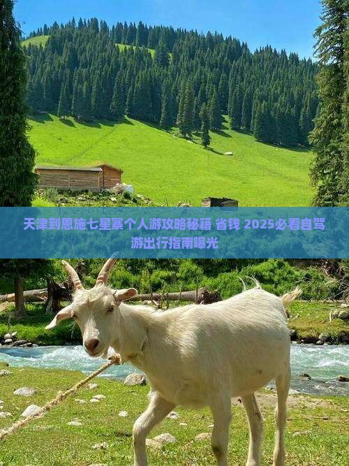 天津到恩施七星寨个人游