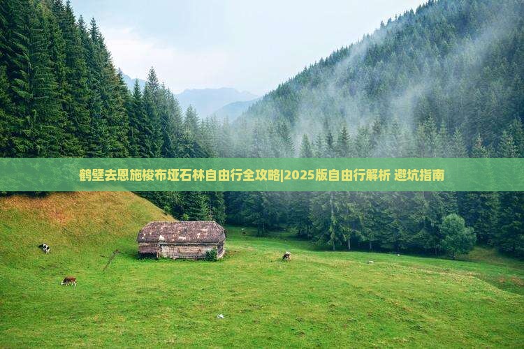 鹤壁去恩施梭布垭石林自由行 鹤壁去恩施梭布垭石林自由行