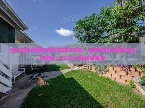 绍兴到恩施梭布垭石林景点