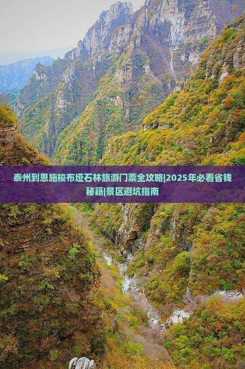 泰州去恩施梭布垭石林门票