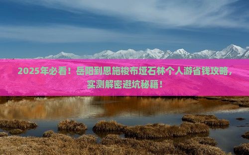 岳阳到恩施梭布垭石林个人游