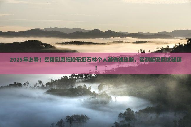 岳阳到恩施梭布垭石林个人游
