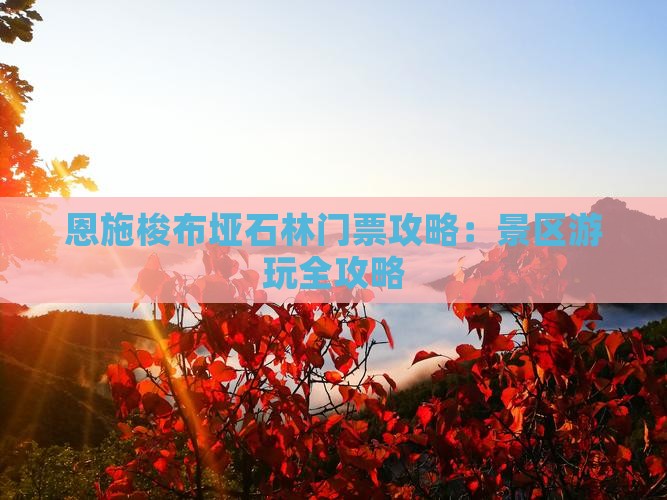 吉林到恩施梭布垭石林门票