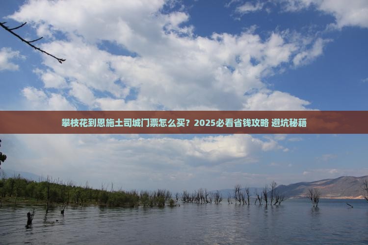 攀枝花到恩施土司城门票