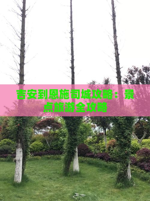 吉安到恩施土司城团体旅游