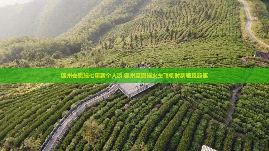 锦州去恩施七星寨个人游
