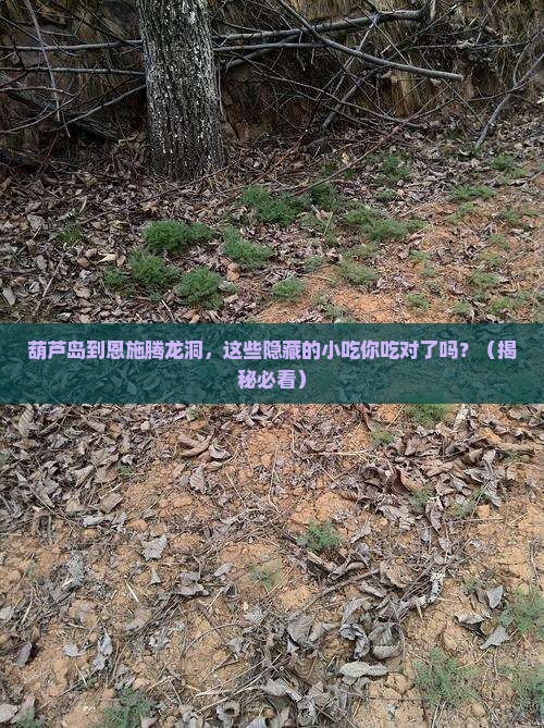 葫芦岛到恩施腾龙洞旅游小吃